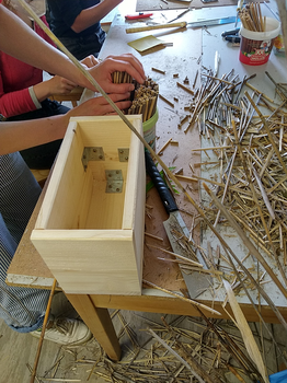 Eine Holzbox wird mit Schilfrohren befüllt