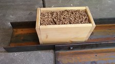 Ein fertiges Holzelement, gefüllt mir Schilfrohren.