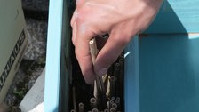 Eine Holzbox wird mit Schilfrohren befüllt