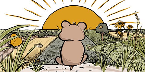 Zeichnung mit einem Hamster, der in die Sonne schaut