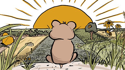 Zeichnung mit einem Hamster, der in die Sonne schaut