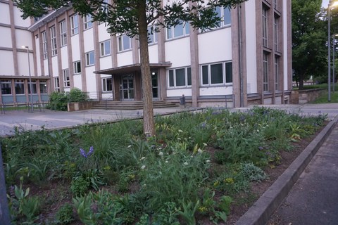 Staudenmischung Silbersommer