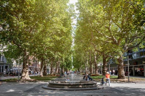 Foto vom Springbrunnen und der Blick durch die belebte Allee der Hauptstraße mit ihren Geschäften.