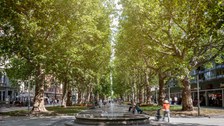 Foto vom Springbrunnen und der Blick durch die belebte Allee der Hauptstraße mit ihren Geschäften.