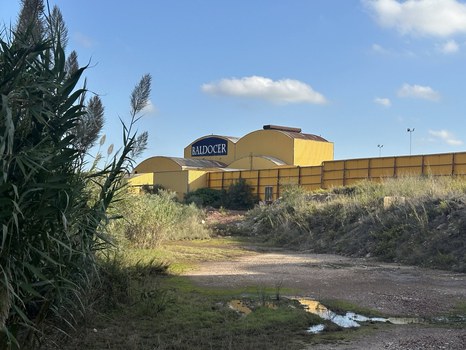 Valencia Exkursion