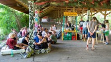 BRACHE-PARCOUR WS-WALESKA
