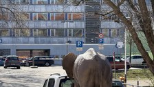 Exkursion Chemnitz