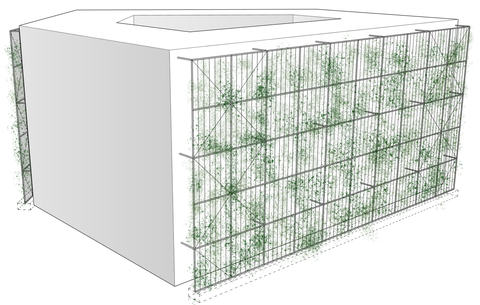 Option 1 fundament_plants.png