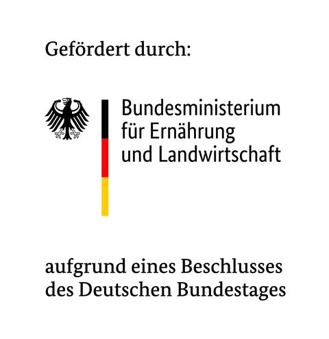 Logo DiNaBau FNR