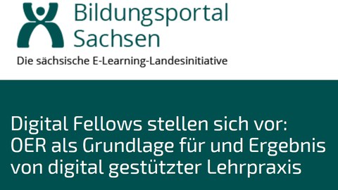 Digital Fellows