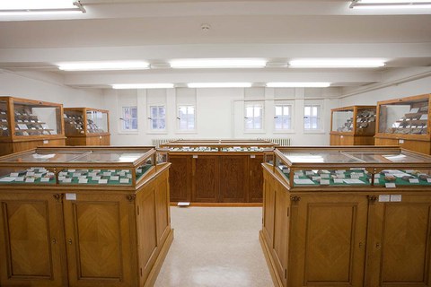 Schauraum 2 (1)