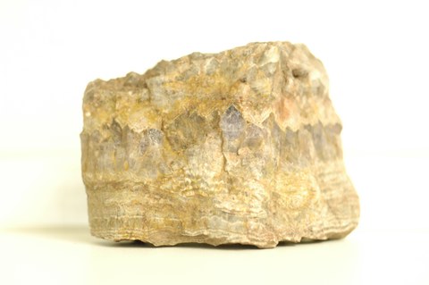 Gestein