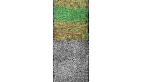 Visualisation of the crack state of a SHCC tensile specimen