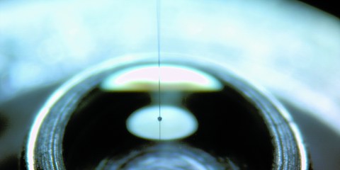 JB2017_TP B2_eingebettete Einzelfaser_©Alma Rothe, IPF Dresden.jpg