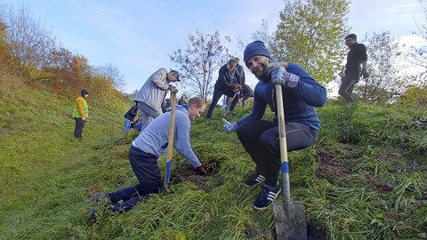 Foto zeigt Impressionen der Baumpflanzaktion im Dresdner Osten am 12.11.2022