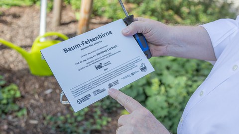 Hinweisschild für die Baumpatenschaft