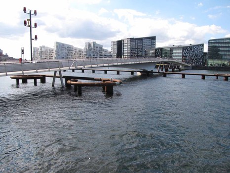 Brueckenbau_Exkursion_2013_11