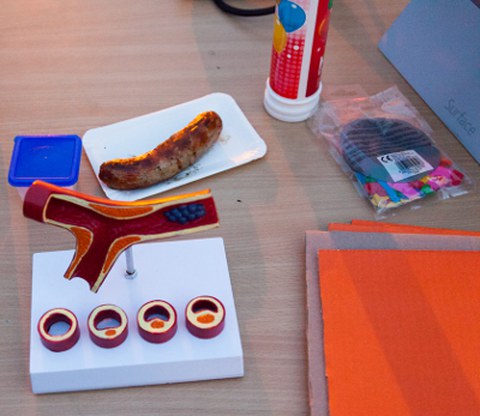artery model, Bratwurst and balloons