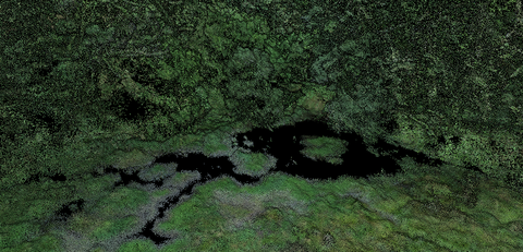 LiDAR scan of the Biber Wetland as a point cloud