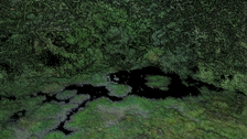 LiDAR scan of the Biber Wetland as a point cloud