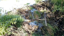 Damaged beaver dam following a rain event with high runoff rates