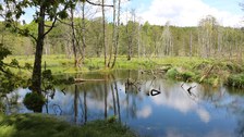 Biberteich am Fuchsbach (auf tschechisch: Liščí potok)