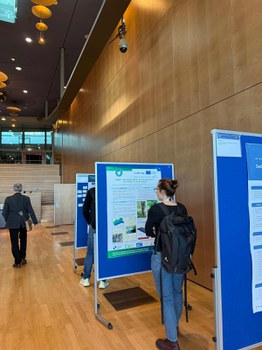 A conference participant is reading through the BIBOB poster.