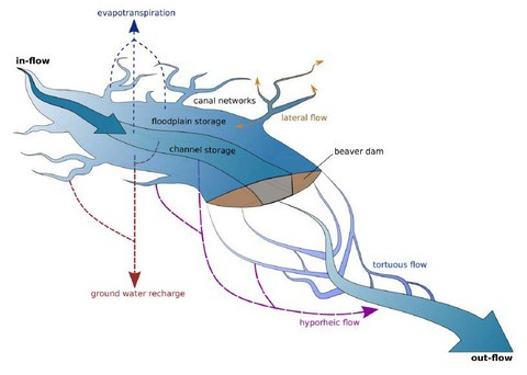 Konzeptionelles Modell zur Beschreibung der hydrologisch-hydraulischen Veränderungen und Wechselwirkungen infolge eines Biberdamms in einem Fließgewässer