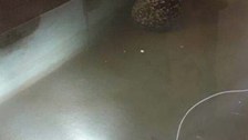 Messeinsatz mit einem Tauchboot