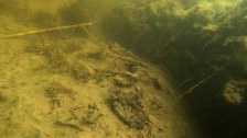 Unterwasserbild aufgenommen vom Tauchboot