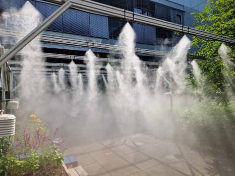 Mitten im Nebel