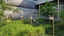 Zerstäuberanlage Nr. 1 von der Seite