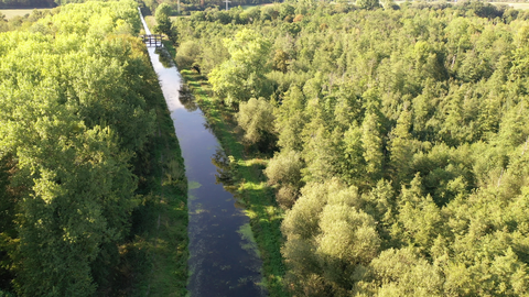 Drohnenflug über den Pfinz-Entlastungskanal mit rechtsseitigem Retentionsraum bei sonnigem Wetter.
