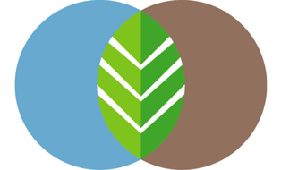 FUN*-Logo (blau, grün, braun)