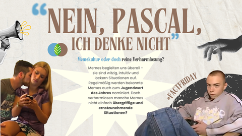 Memekultur und Verharmlosung