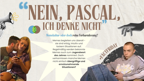 Memekultur und Verharmlosung