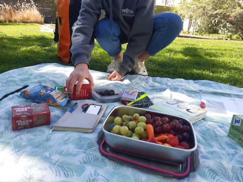 PicknickApril2