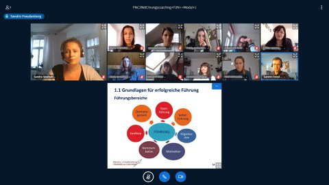 Screenshot, virtuelles Treffen, online Seminar, Web Kamera, Teilnehmende