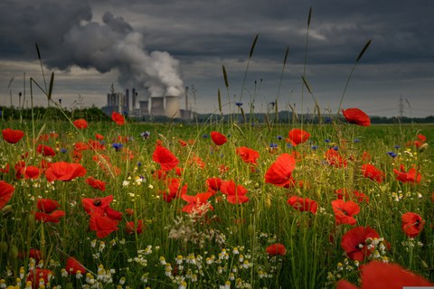 Energiekraftwerk hinter Blumenwiese