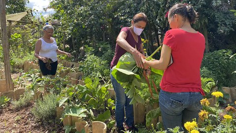 Community garden Brazil