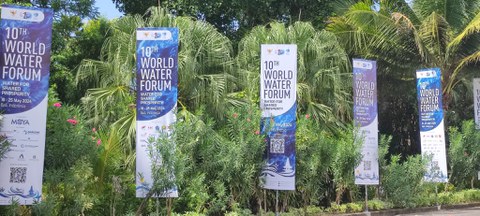 WWF 2024 flags