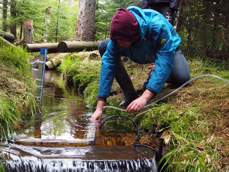 Feldpraktikum im Master Hydrologie