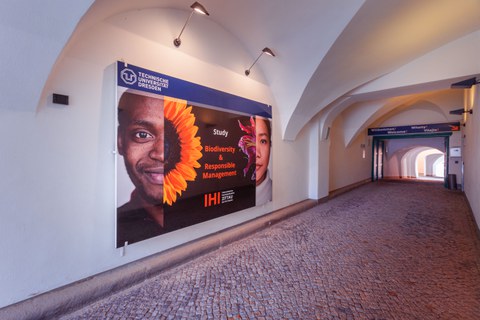 IHI 1