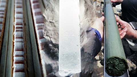 Three different cores, tree, ice and sediment