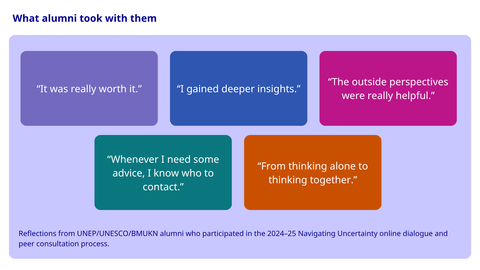 Quotes by former participants of an online peer consultation process. 