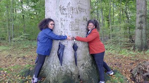 Fellows with a big tree