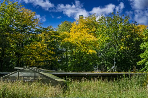 Water Roof Farm
