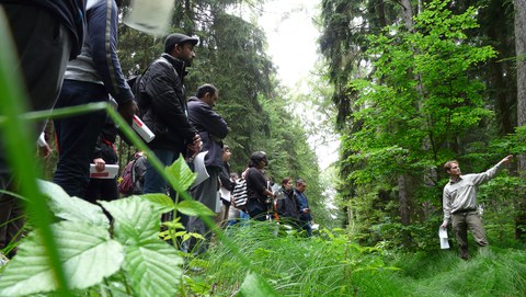 Teilnehmer im Wald bei einer Exkursion zu Bodenschutz und Forstwirtschaft
