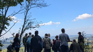 Studis im Wald 
