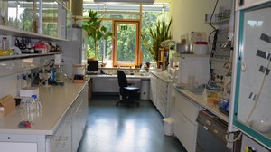 Laboransicht